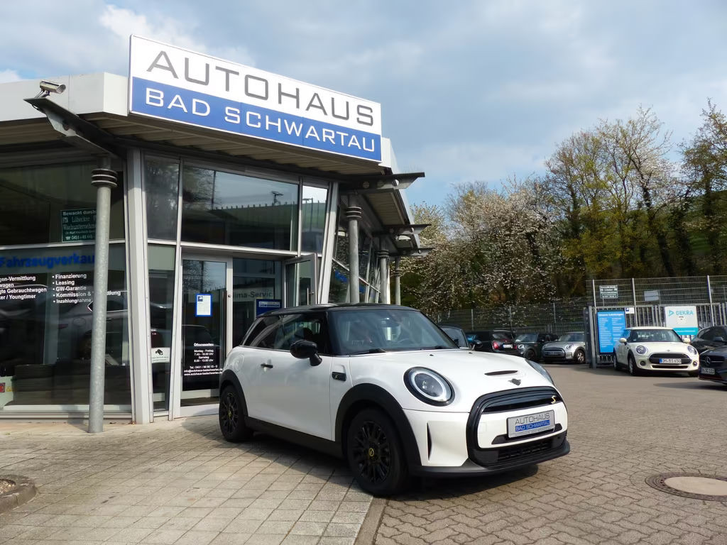 Mini Mini Electric