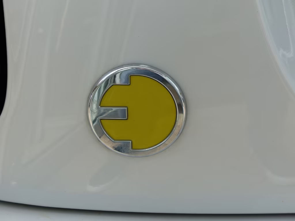 Mini Mini Electric