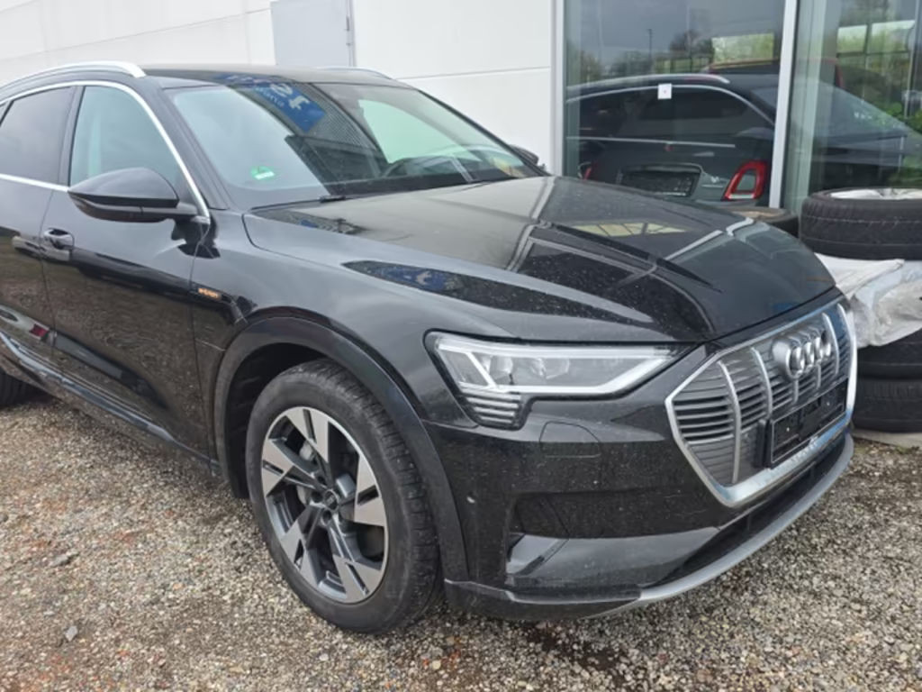 Audi e-tron 2021 Elektrisch