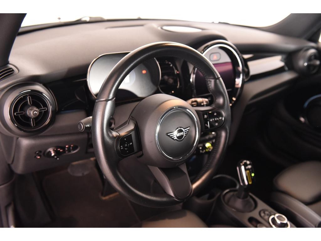 Mini Mini Electric