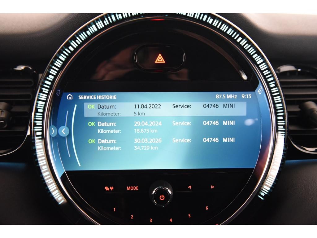 Mini Mini Electric