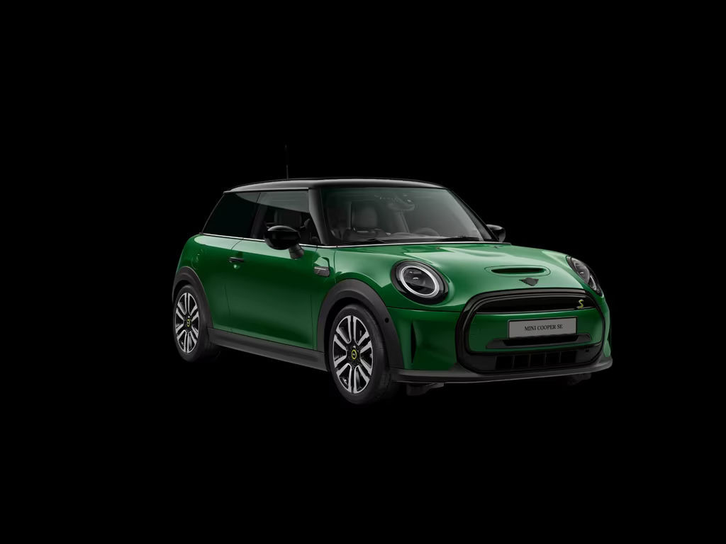 Mini Mini Electric