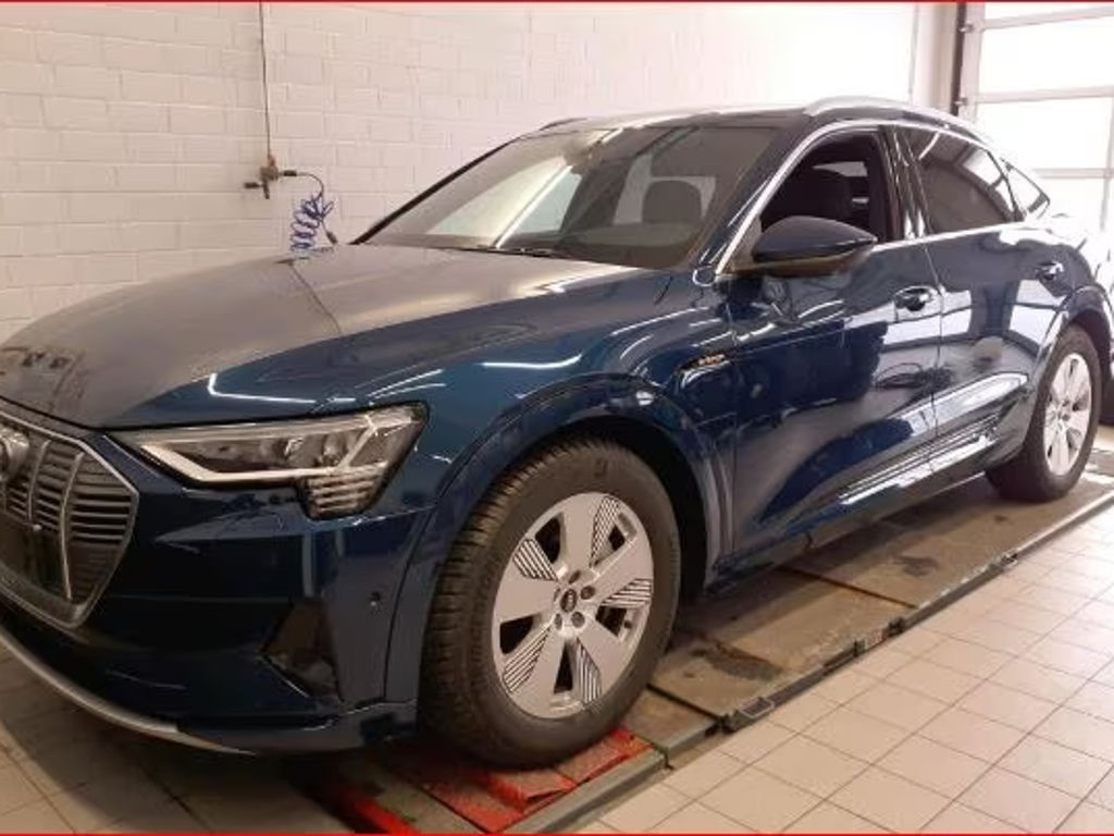 Audi e-tron 2022 Elektrisch