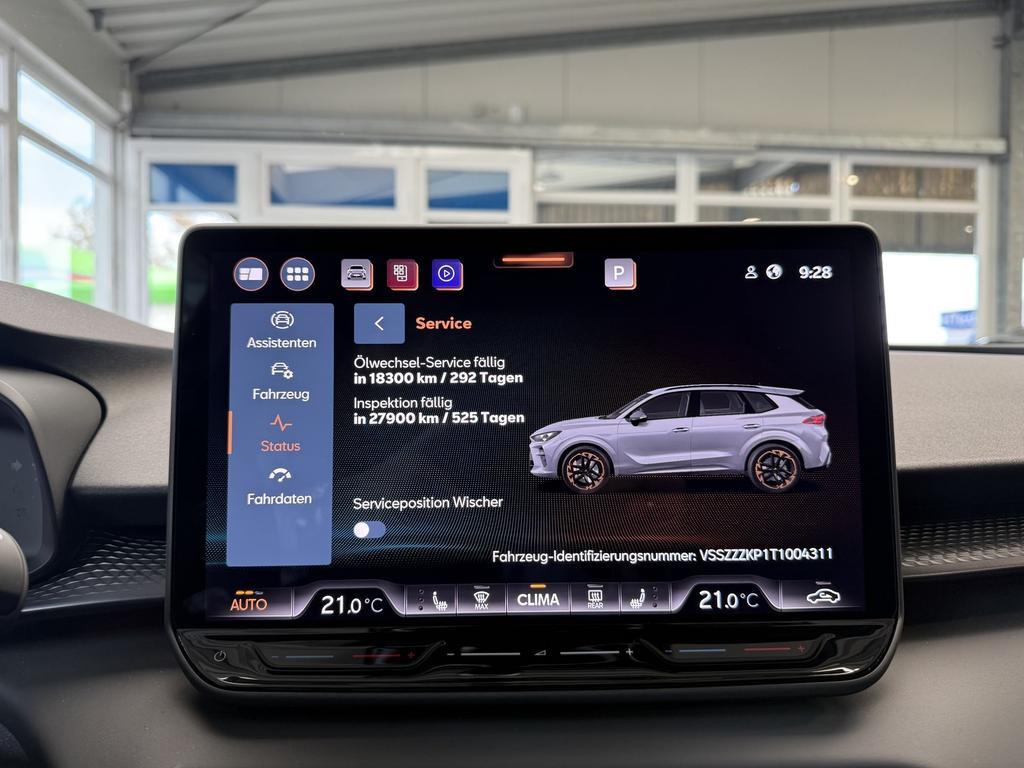 Cupra Terramar