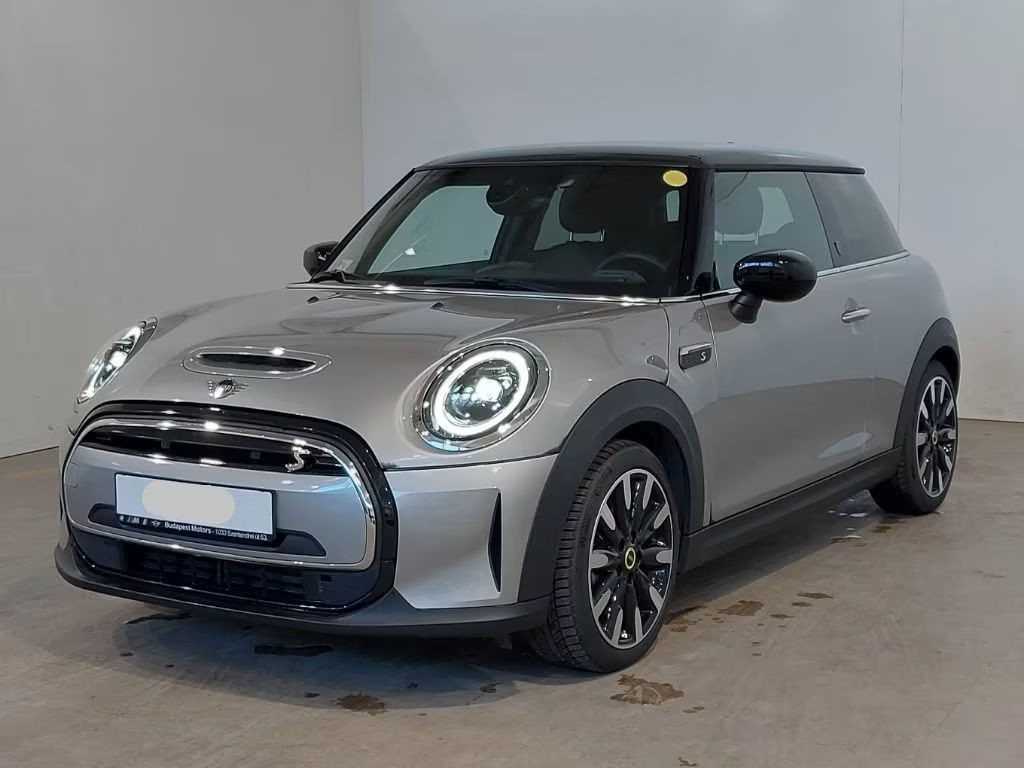 Mini Mini Electric