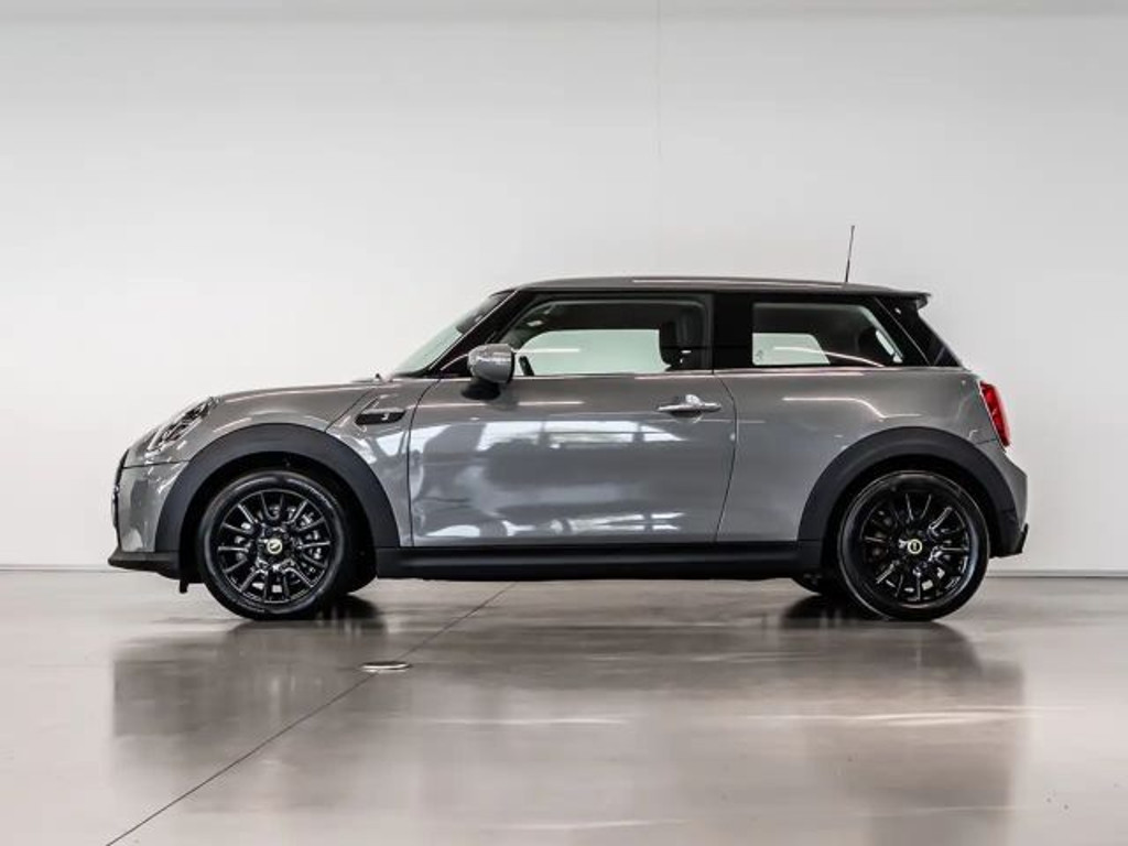 Mini Mini Electric