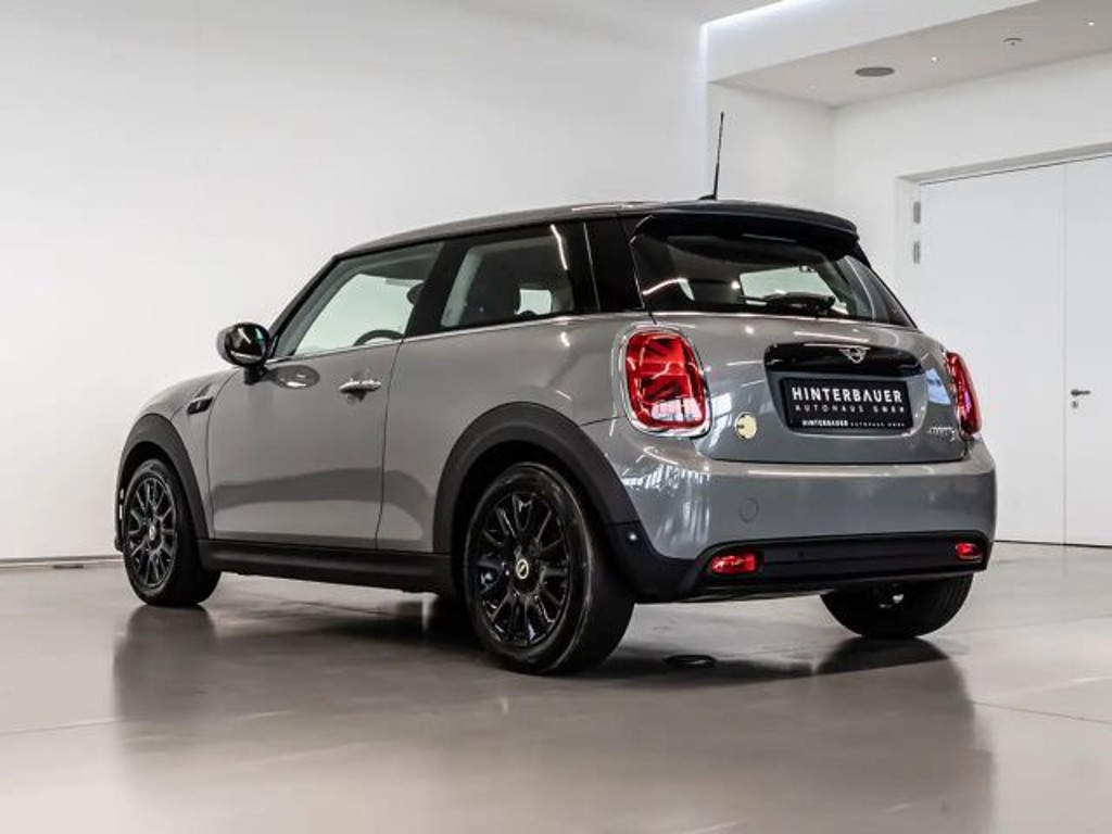 Mini Mini Electric
