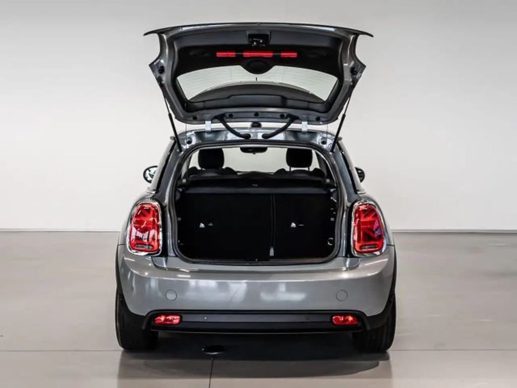 Mini Mini Electric