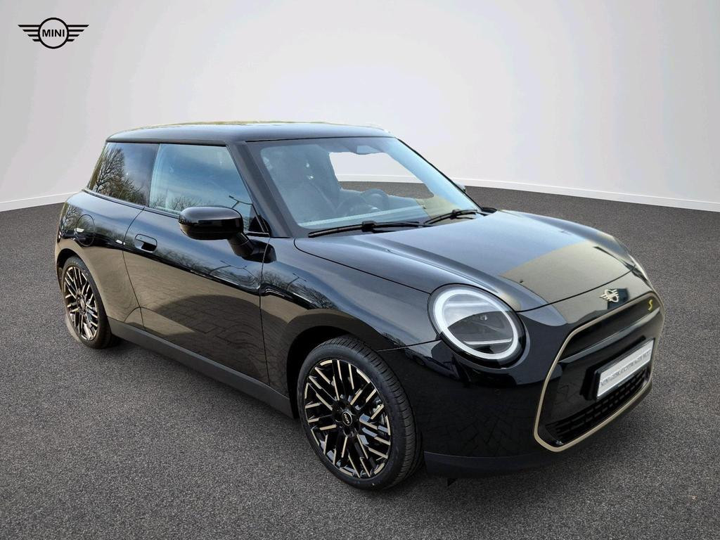 Mini Mini Electric