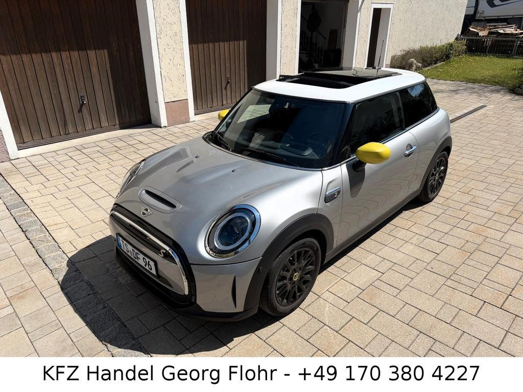 Mini Mini Electric