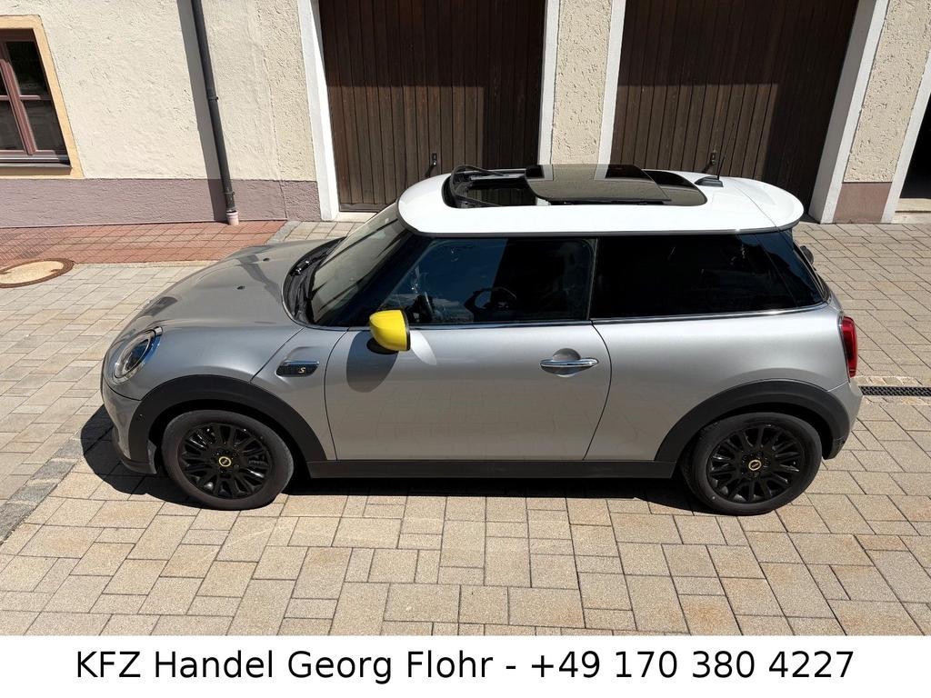Mini Mini Electric