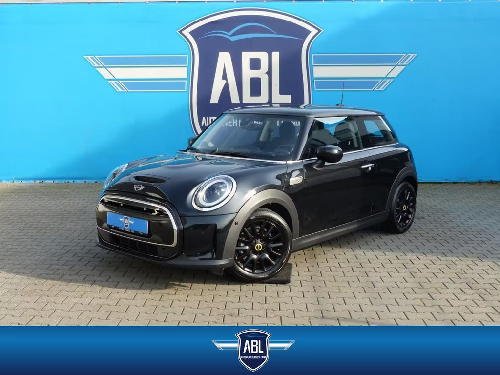 Mini Mini Electric