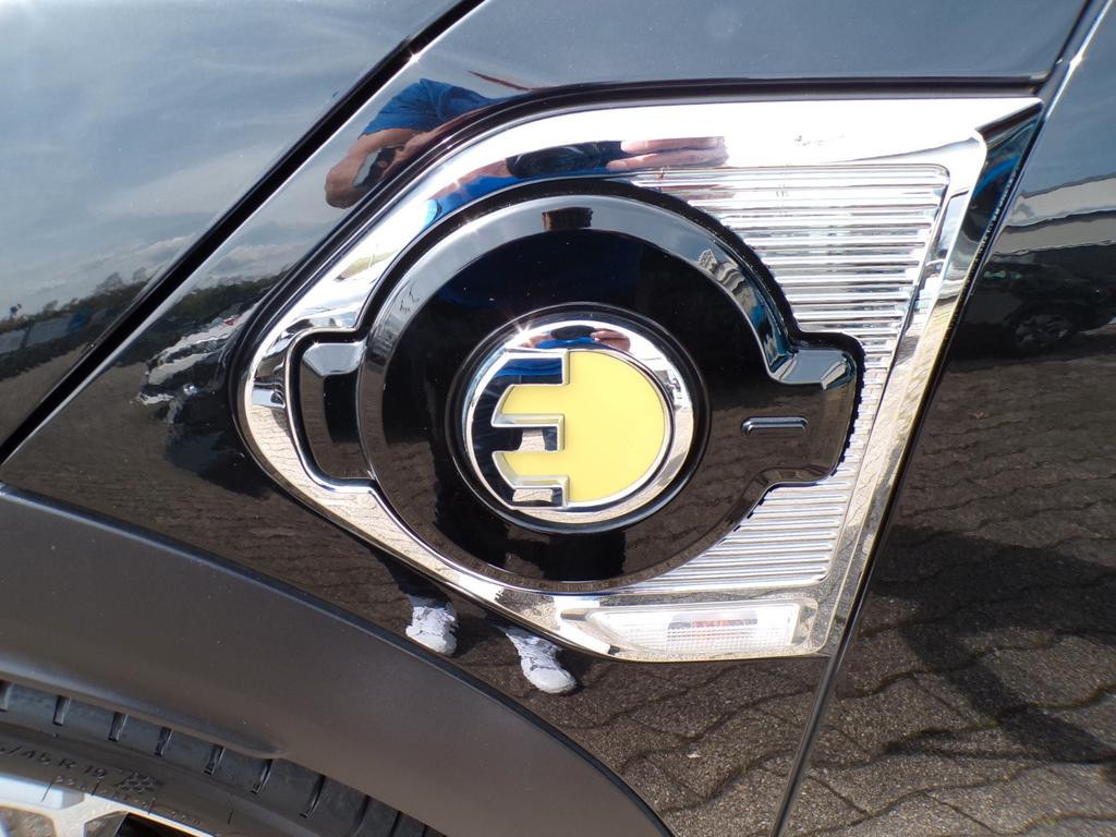 Mini Mini Electric