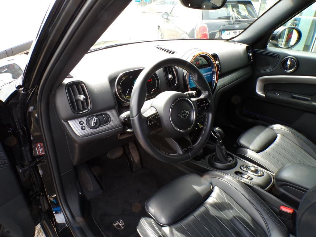 Mini Mini Electric