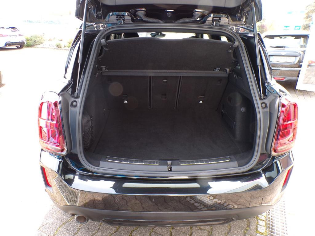 Mini Mini Electric