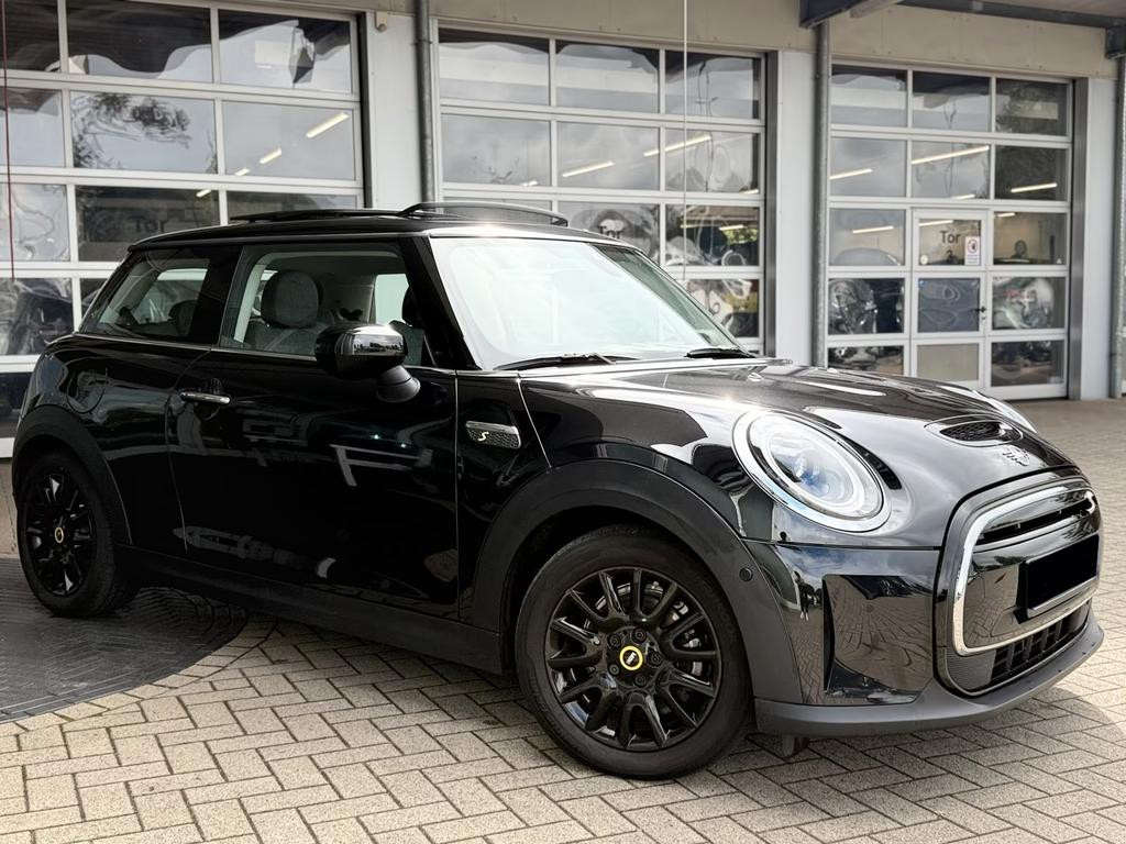 Mini Mini Electric