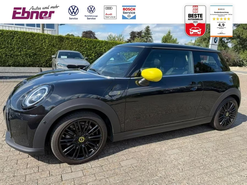 Mini Mini Electric