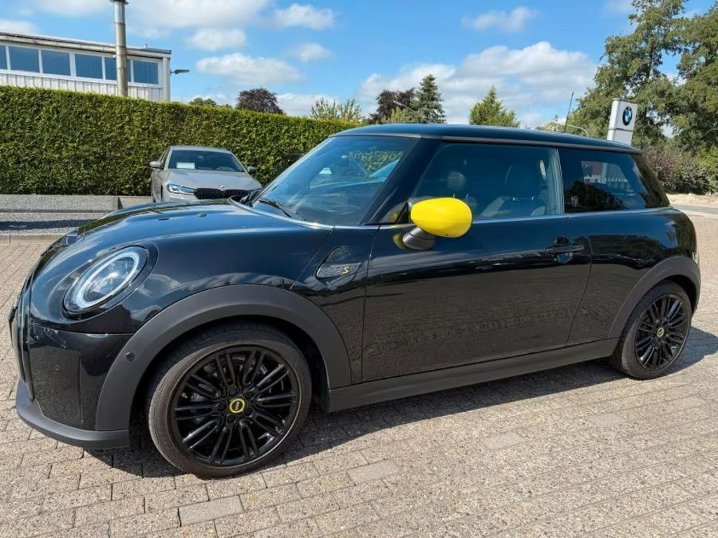 Mini Mini Electric
