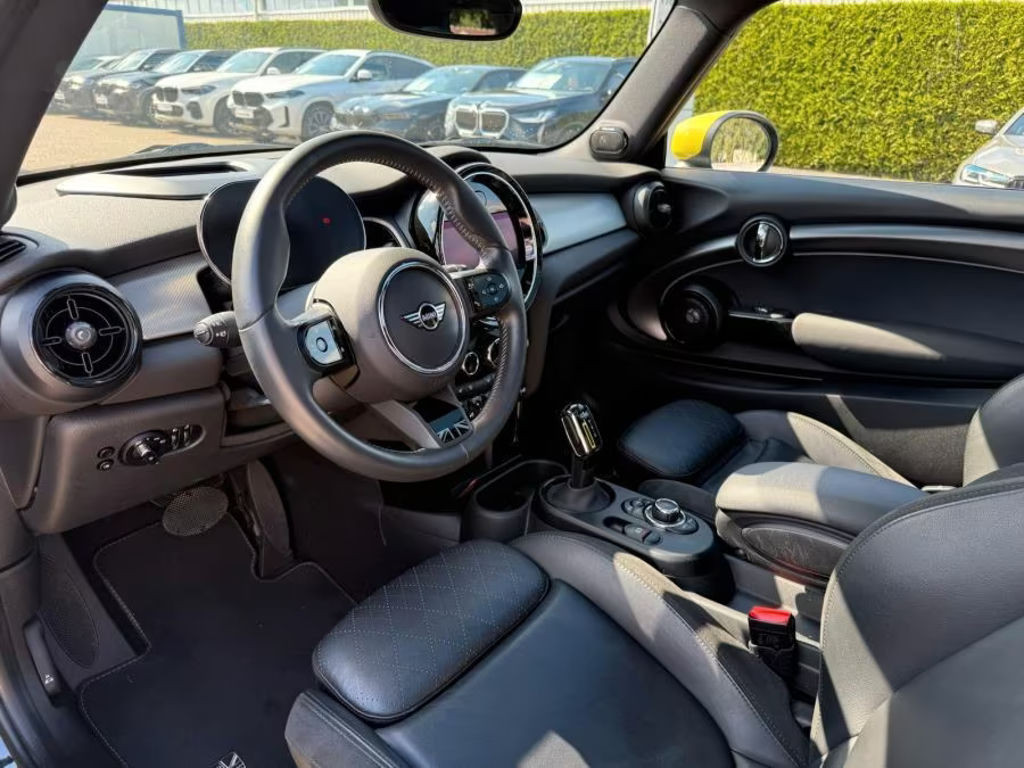 Mini Mini Electric