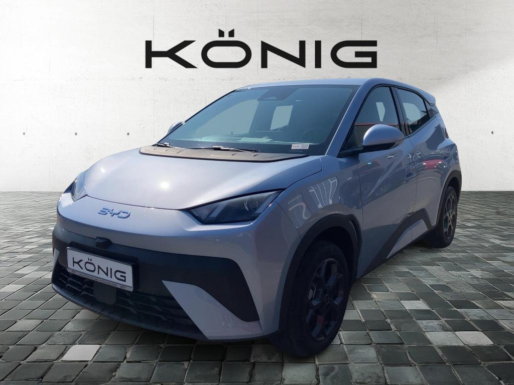 BYD Dolphin 2025 Elektrisch