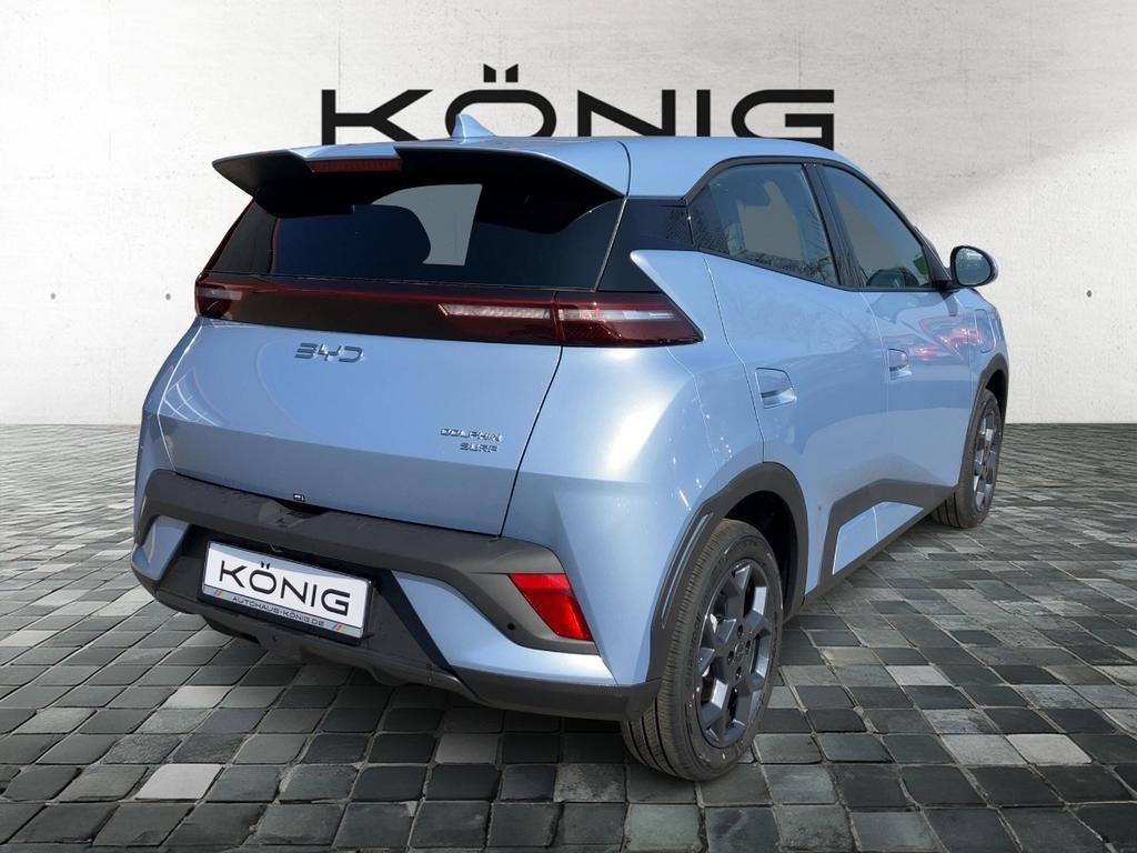 BYD Dolphin