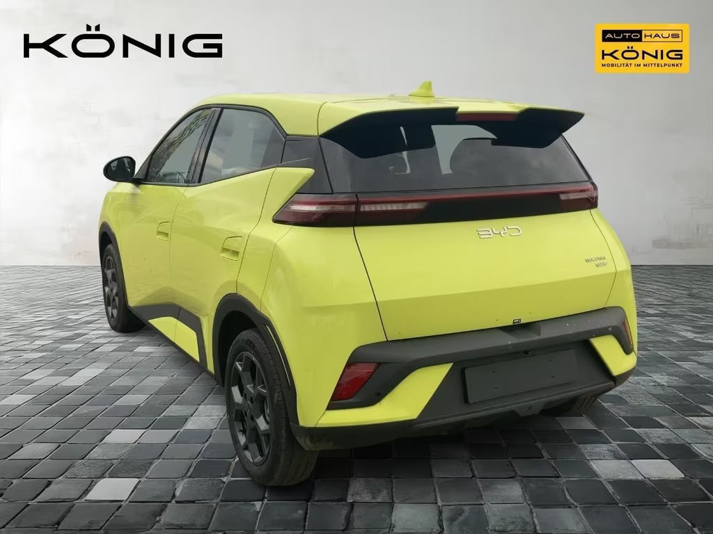 BYD Dolphin