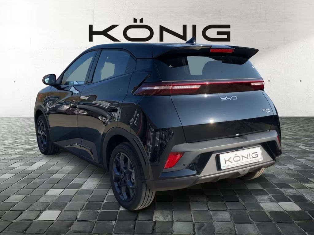 BYD Dolphin