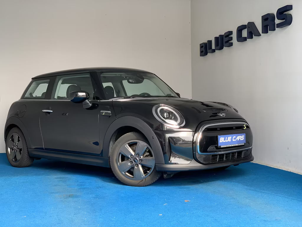 Mini Mini Electric