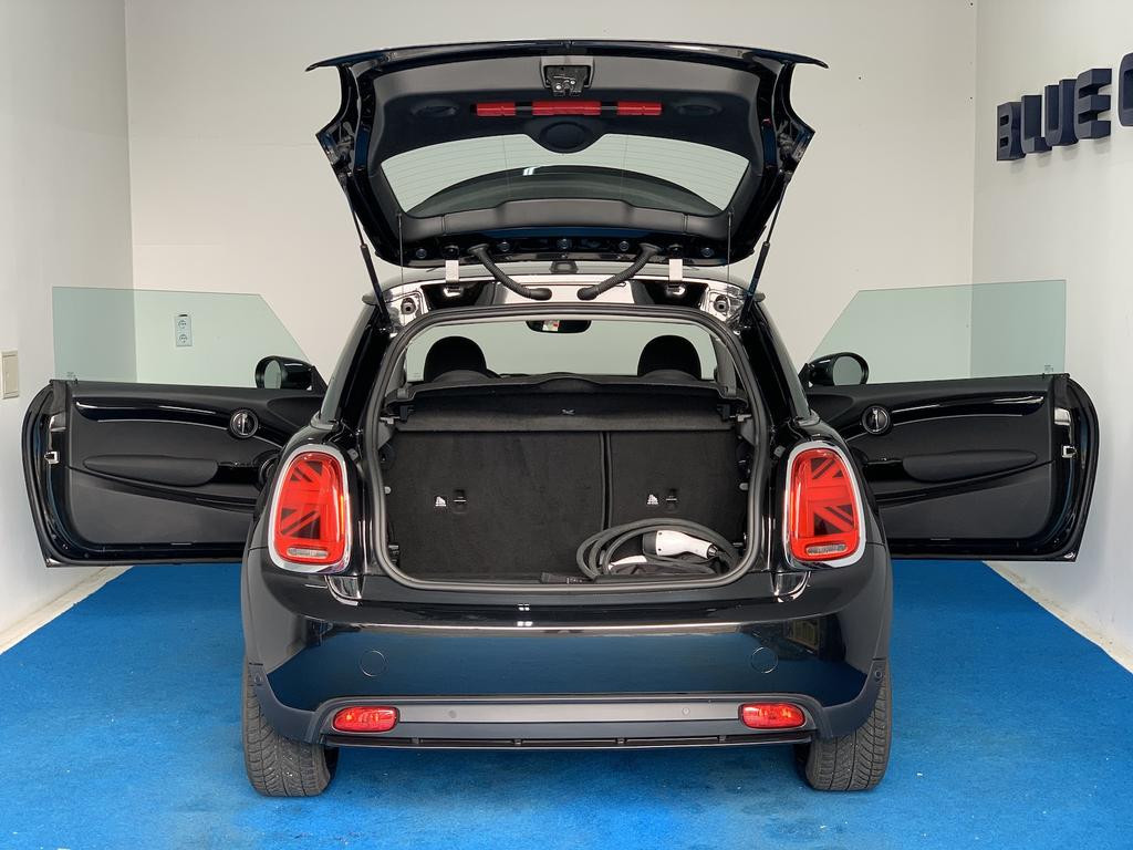 Mini Mini Electric