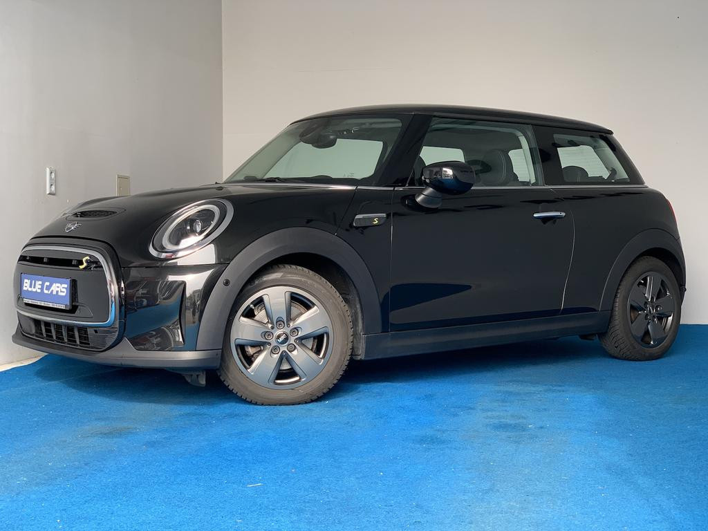 Mini Mini Electric