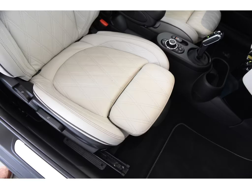 Mini Mini Electric