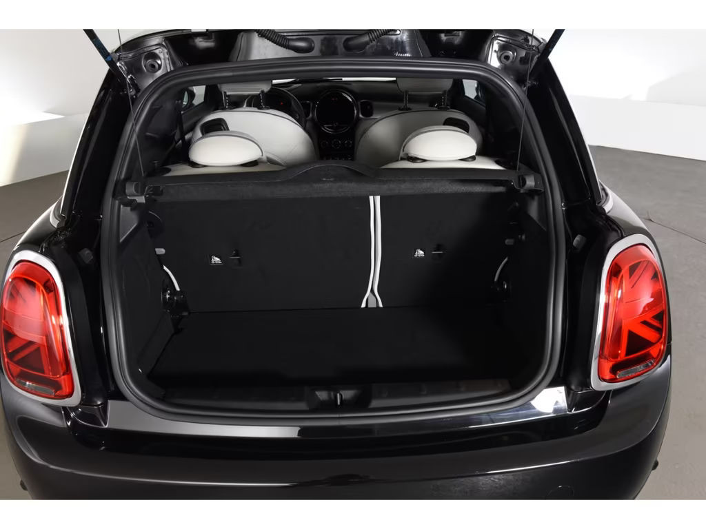 Mini Mini Electric