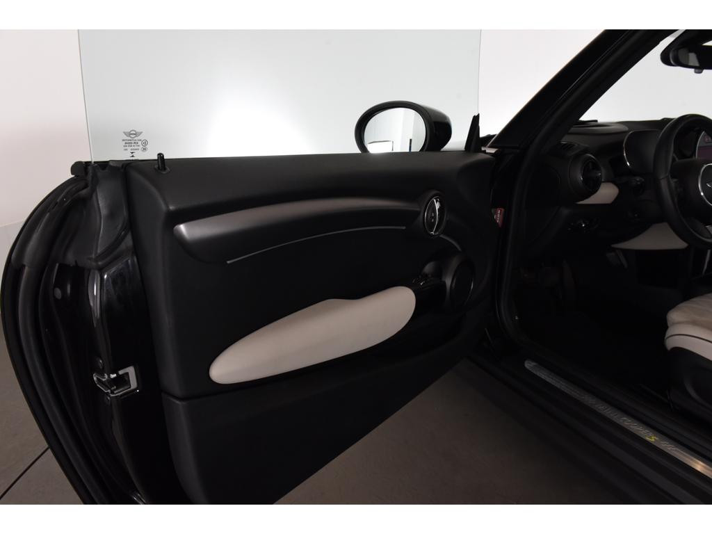 Mini Mini Electric