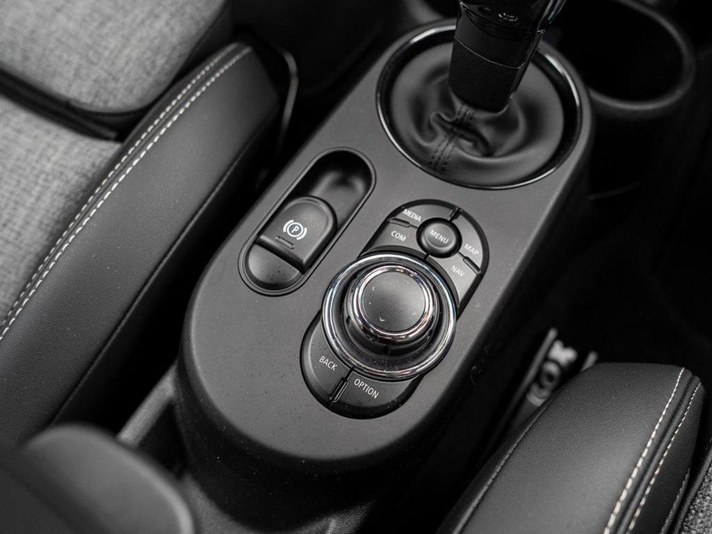Mini Mini Electric
