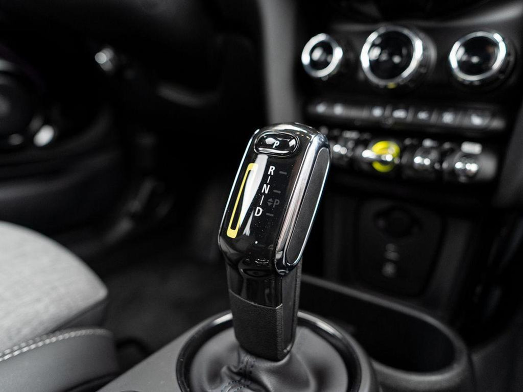 Mini Mini Electric