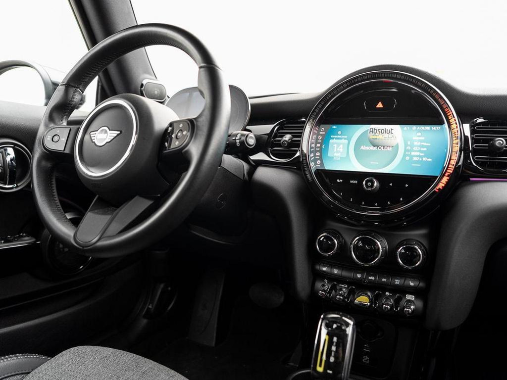 Mini Mini Electric