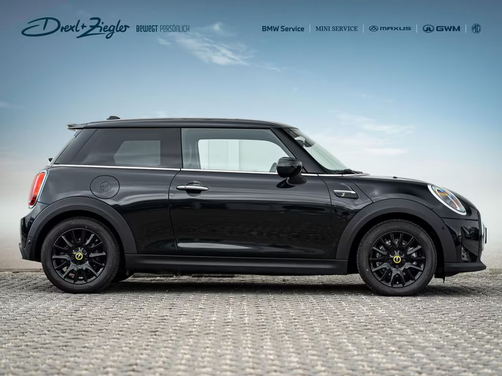Mini Mini Electric