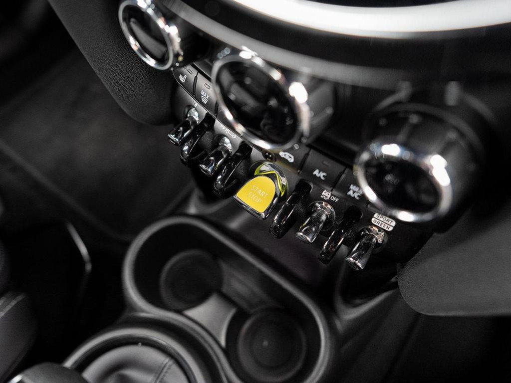 Mini Mini Electric