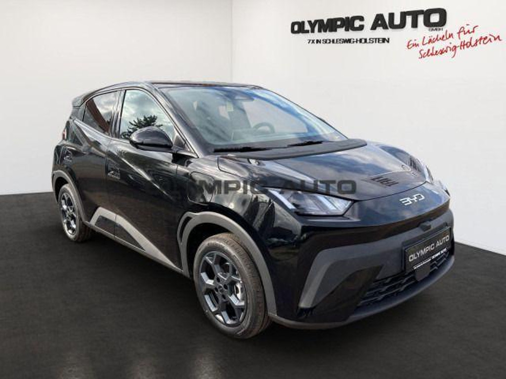 BYD Dolphin