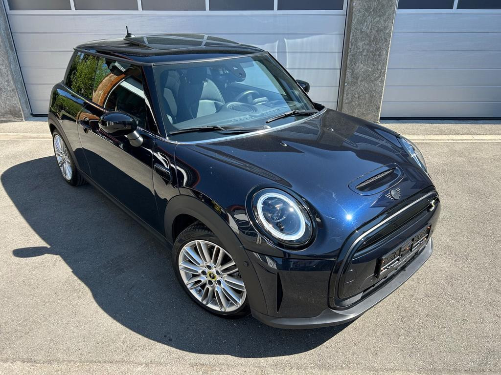 Mini Mini Electric