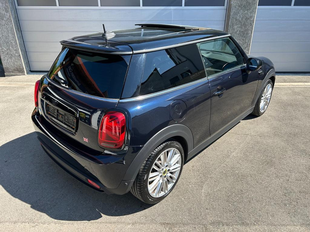 Mini Mini Electric