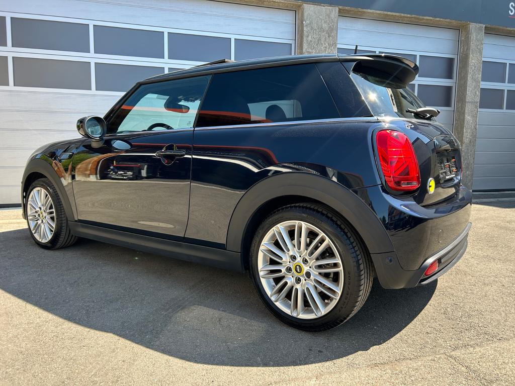 Mini Mini Electric