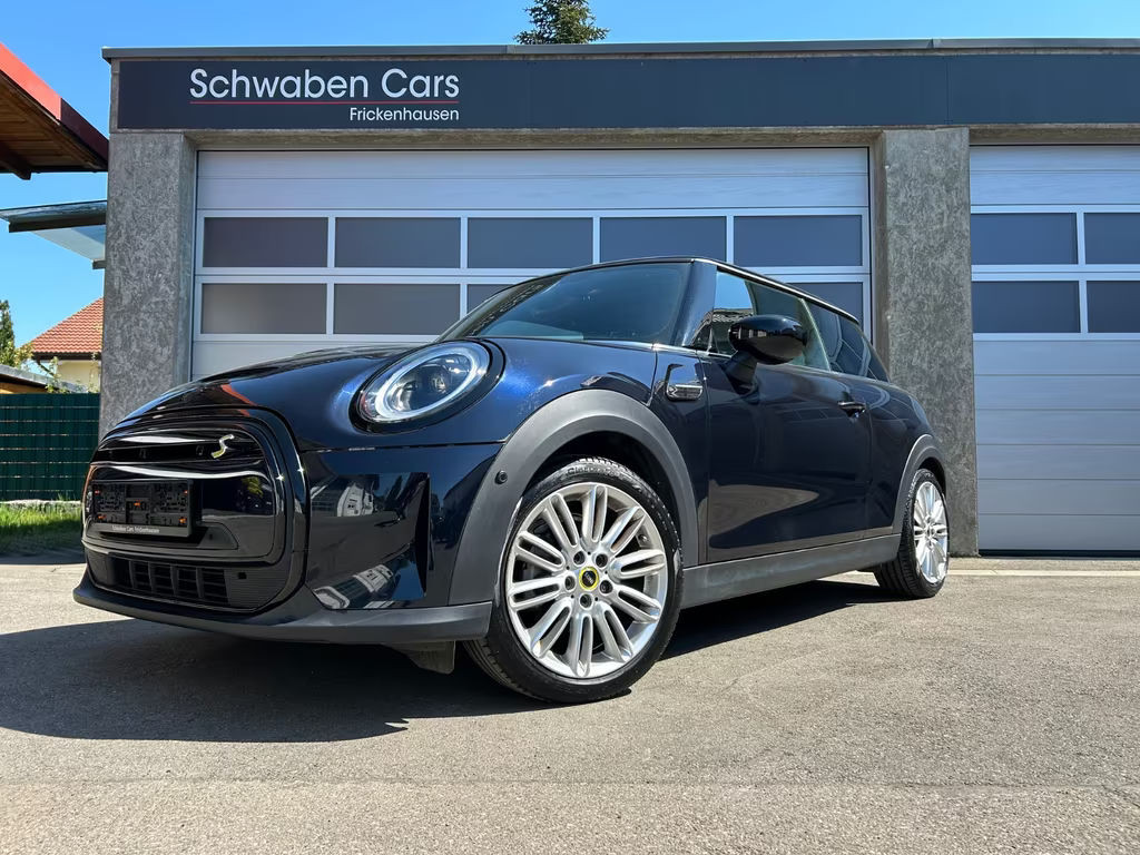 Mini Mini Electric