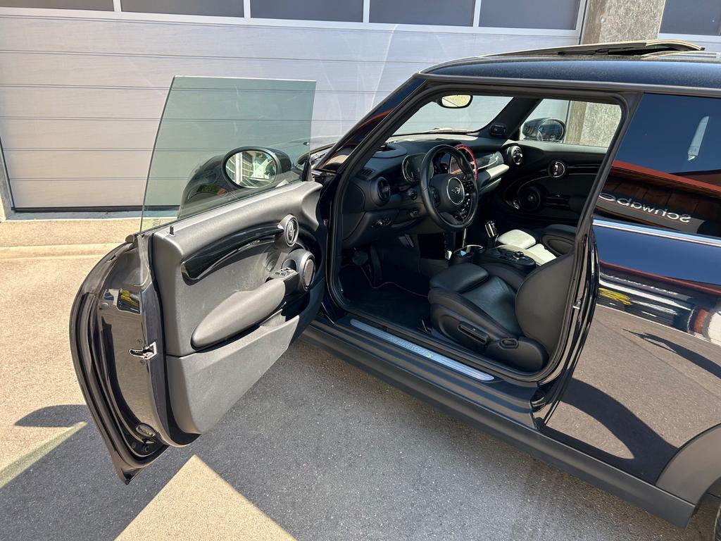 Mini Mini Electric