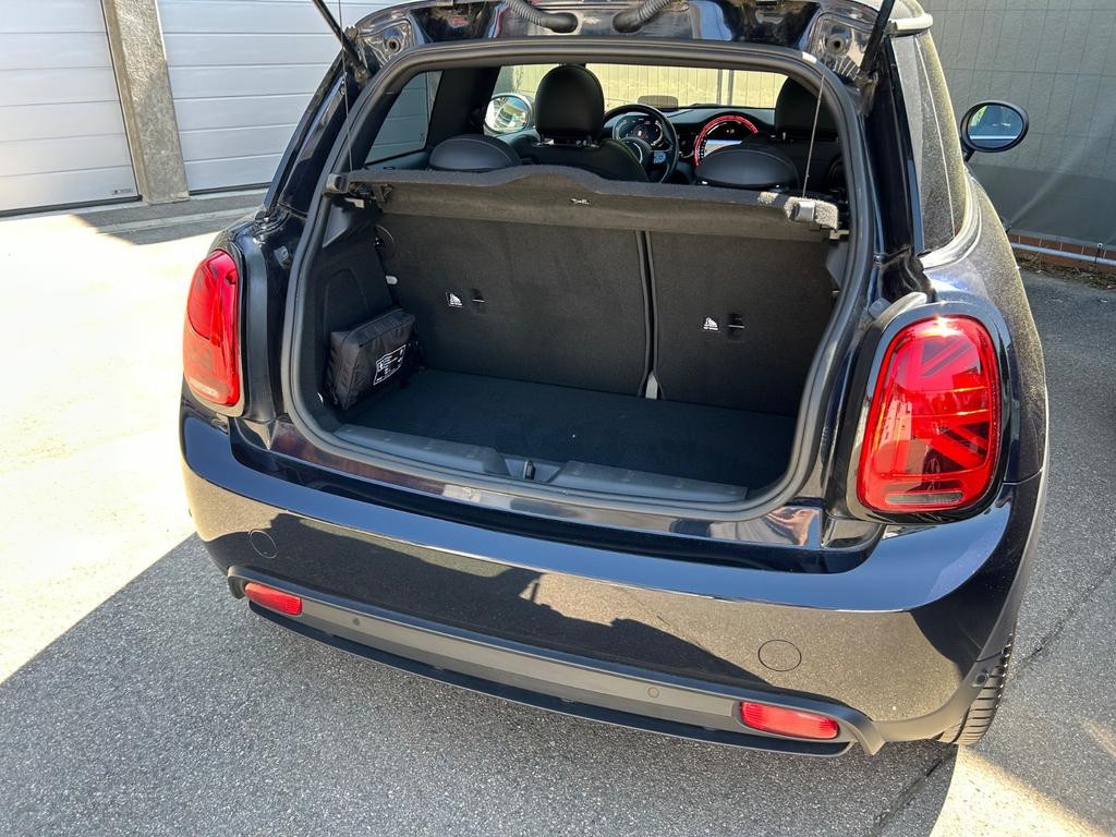 Mini Mini Electric