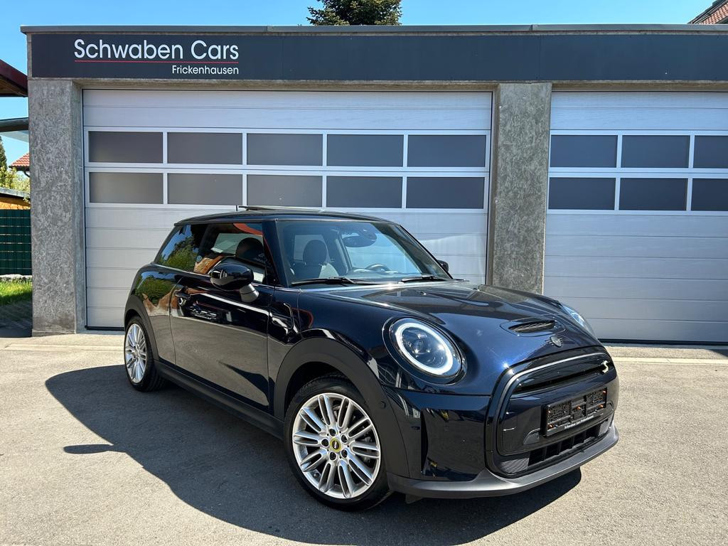 Mini Mini Electric