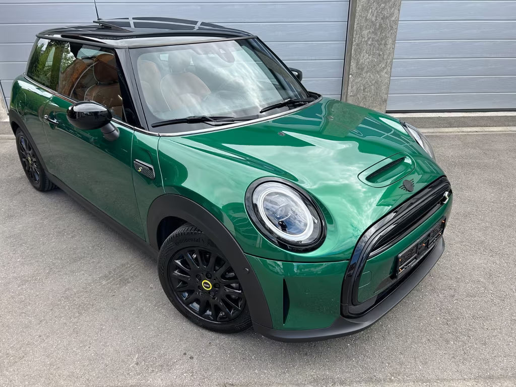 Mini Mini Electric