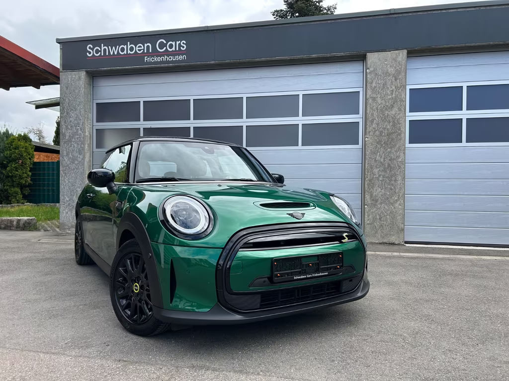 Mini Mini Electric