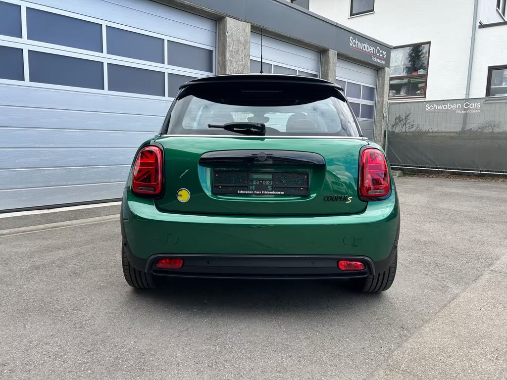 Mini Mini Electric