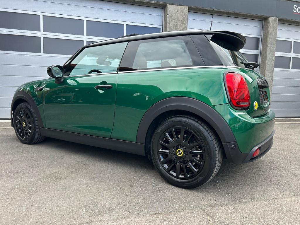 Mini Mini Electric